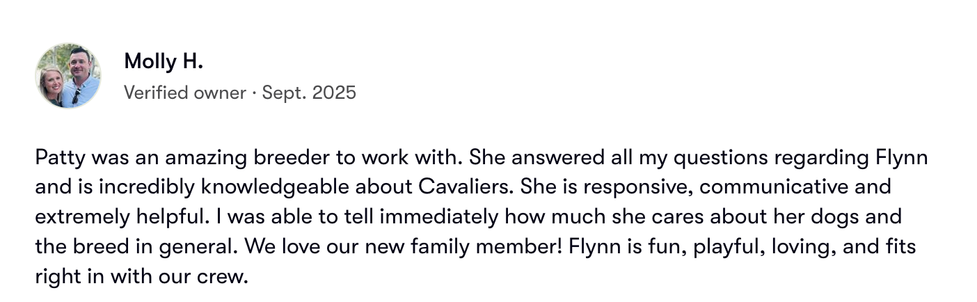 5-star Facebook review for Angels and Nobility Cavaliers